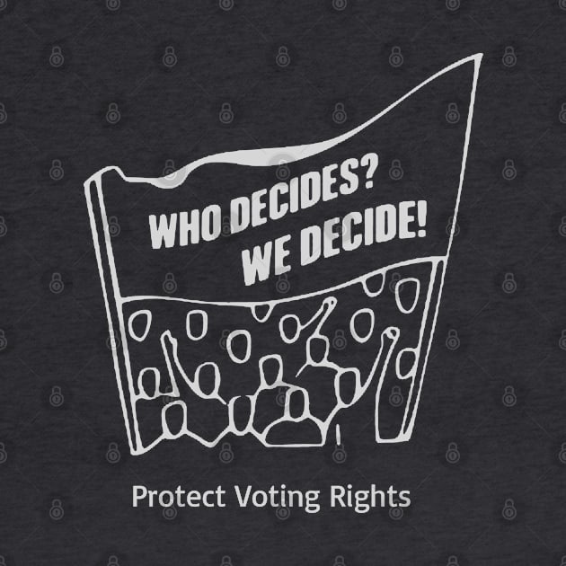 Who Decides? We Decide! Protect Voting Rights by Slightly Unhinged